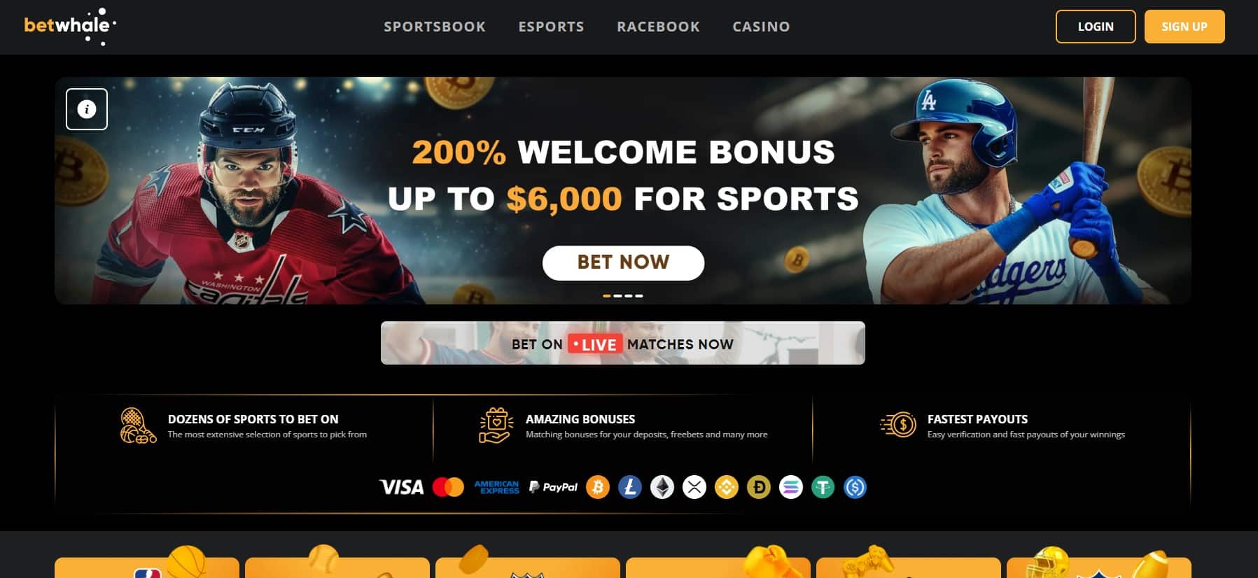 BetWhale - One of the Best Connecticut Sportsbooks